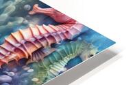 The Aquatic Gallery 13 HD Metal print