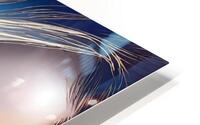 Stylish and Chic 41 HD Metal print