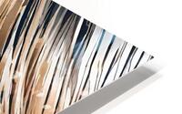 Stylish and Chic 34 HD Metal print