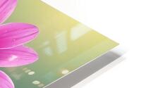 Wild Flowers 31 HD Metal print