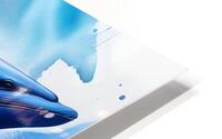 The blue whale HD Metal print
