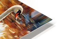 The swans 4 HD Metal print