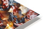 Autumn aspects 2 HD Metal print