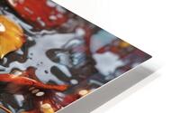 Autumn aspects 5 HD Metal print