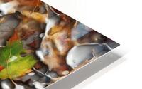 Autumn aspects 22 HD Metal print