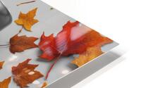 Autumn aspects 24 HD Metal print