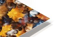 Autumn aspects 21 HD Metal print