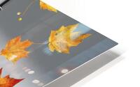 Autumn aspects 9 HD Metal print