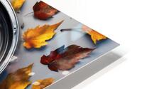 Autumn aspects 19 HD Metal print