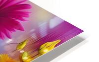 Flowers  3 HD Metal print
