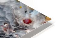 Fluid 6 HD Metal print