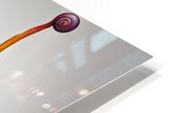 Rainbow Snail 7 HD Metal print