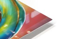 Rainbow Snail 8 HD Metal print