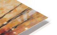 Autumn Forest Reflections  1 HD Metal print