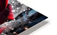 Rose5 HD Metal print