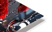 Rose6 HD Metal print