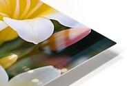 Fressia 4 HD Metal print