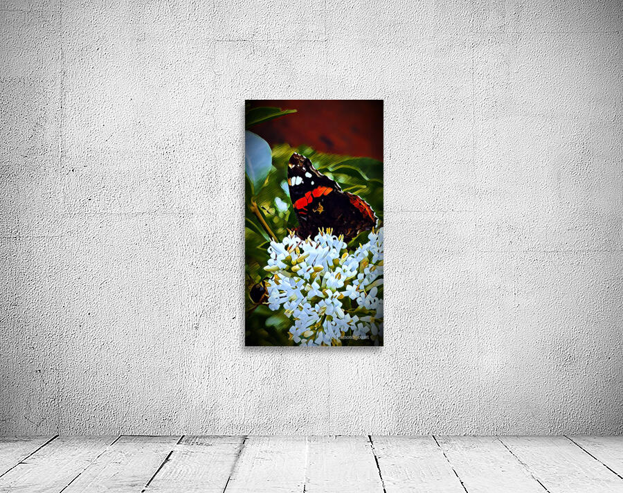 Red Admiral Nectar Wall Preview