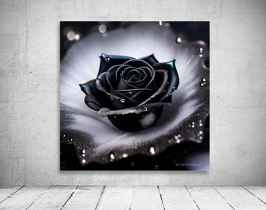 Black rose 1 Wall Preview
