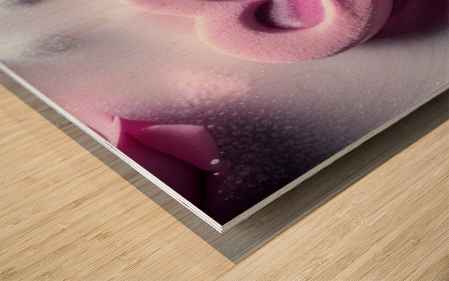 Sugar heart Wood print