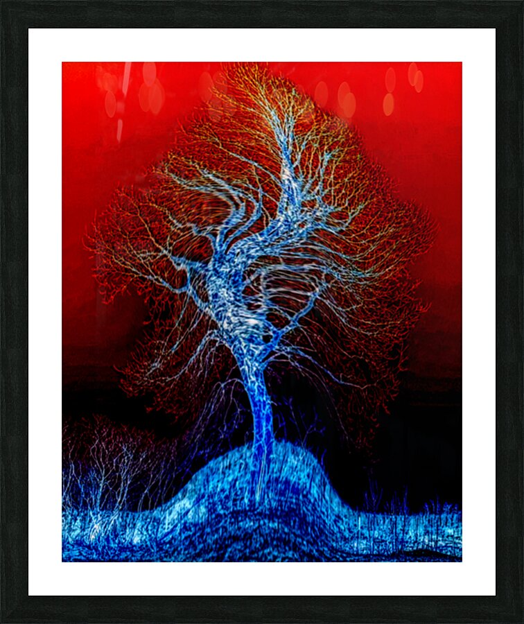 Dance of the Dryad Picture Frame Printing