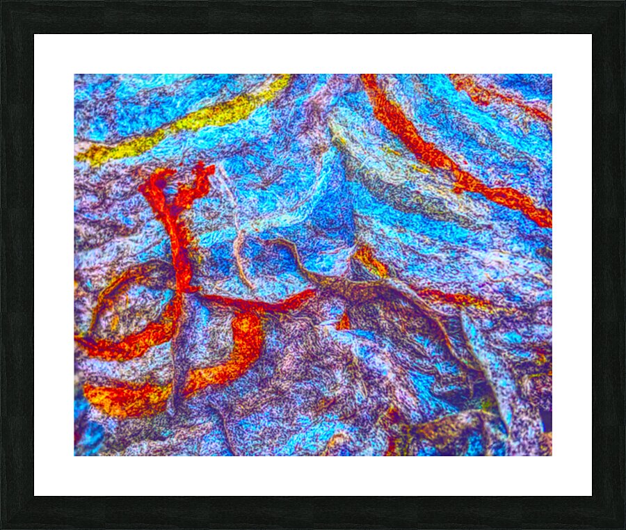 Broken Wasp Nest Picture Frame Printing