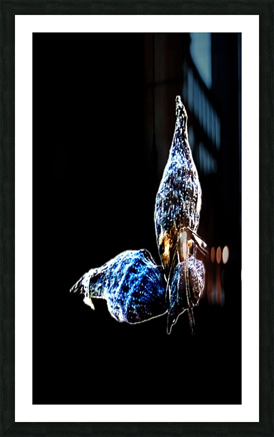 Sea Creature Picture Frame Printing