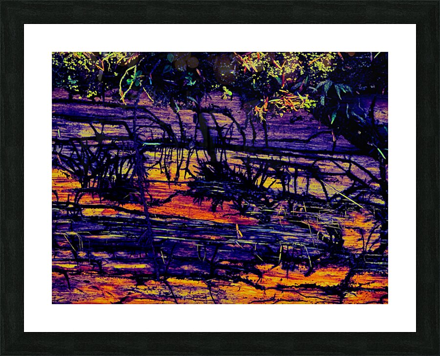 Beetle Bark Gallery Picture Frame Printing