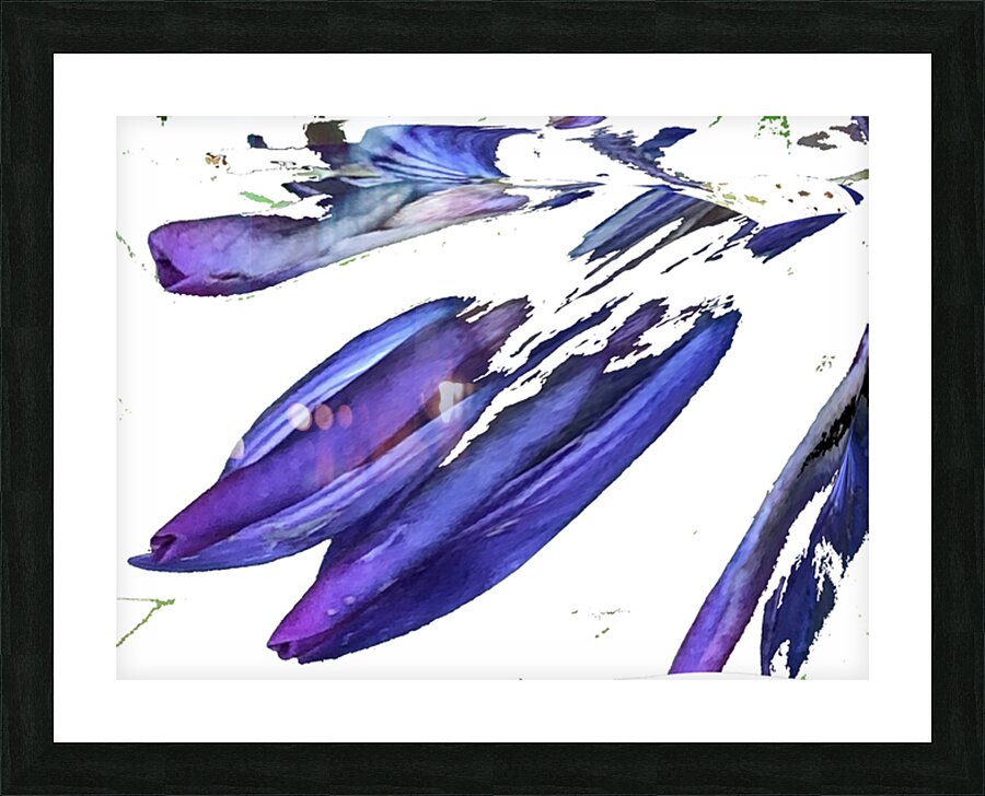 Crazy Lupin Picture Frame Printing