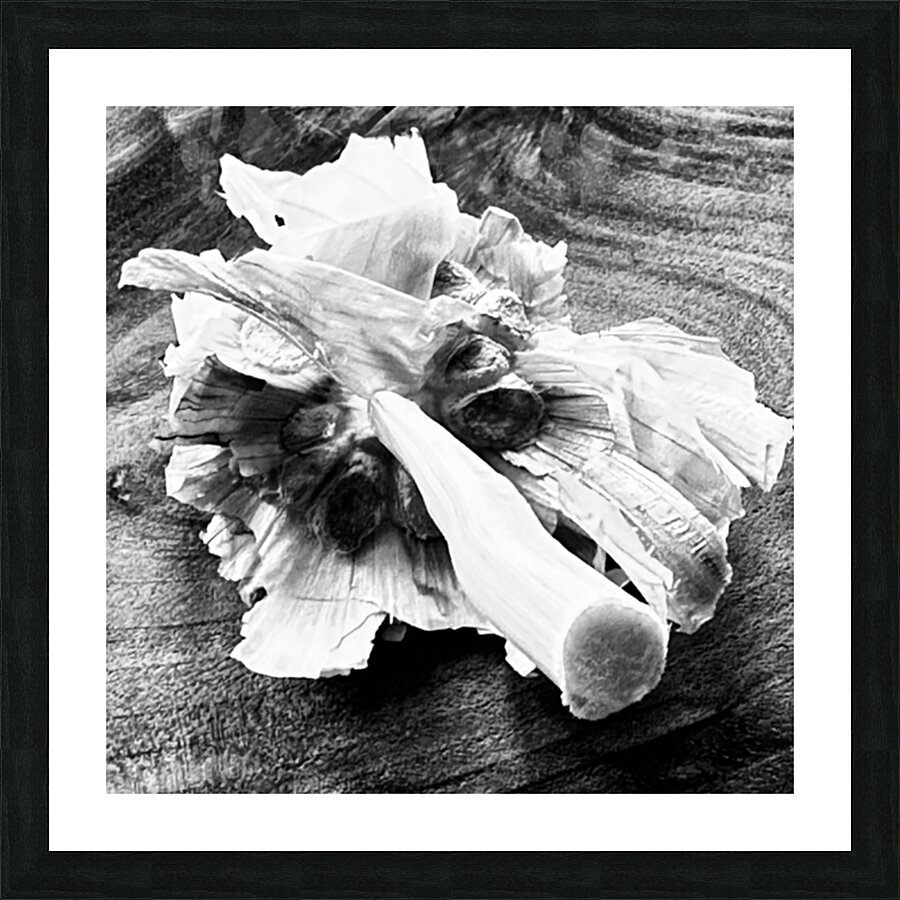 Found Grace Picture Frame Printing