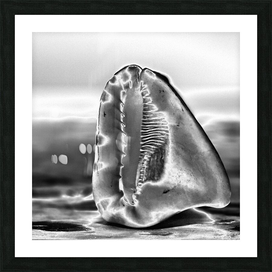 Hidden Architecture Picture Frame Printing