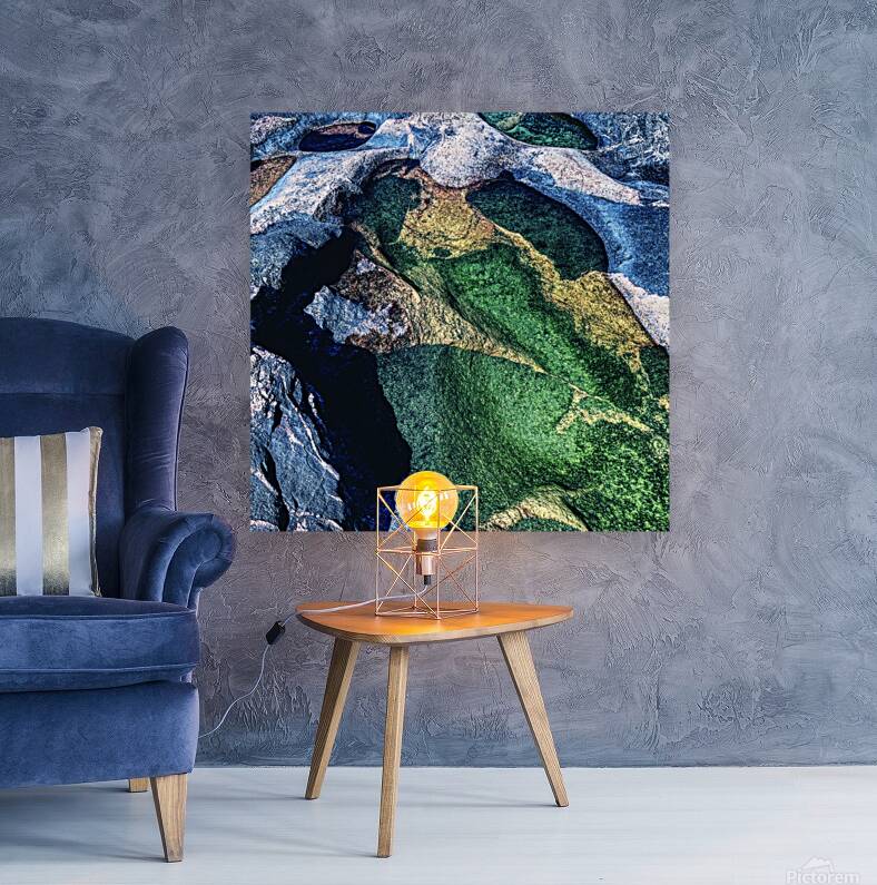 Jurassic Bird Reproduction