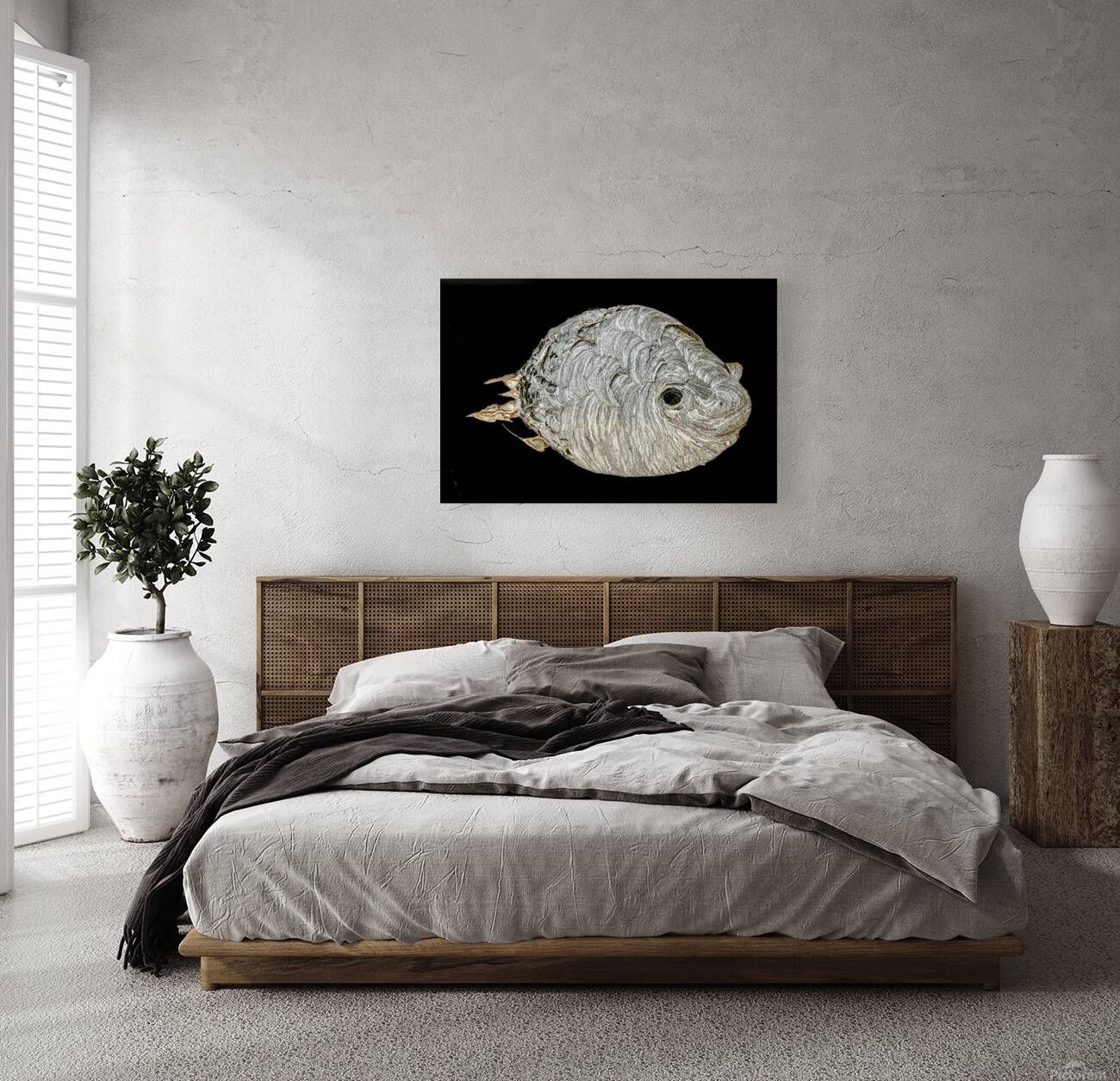 Hornet Fish Reproduction