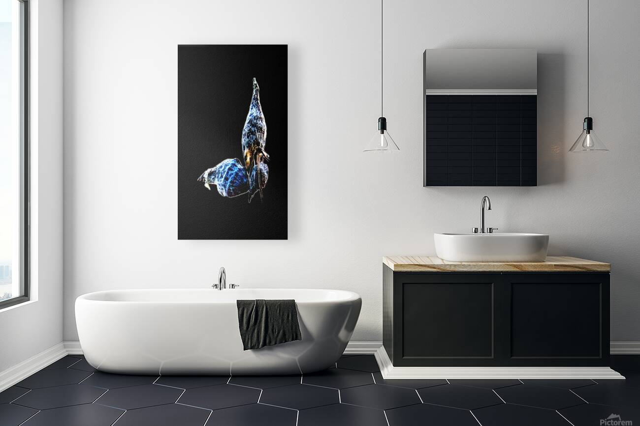 Sea Creature Reproduction