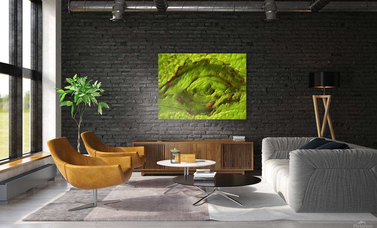 Dragon Eye Reproduction