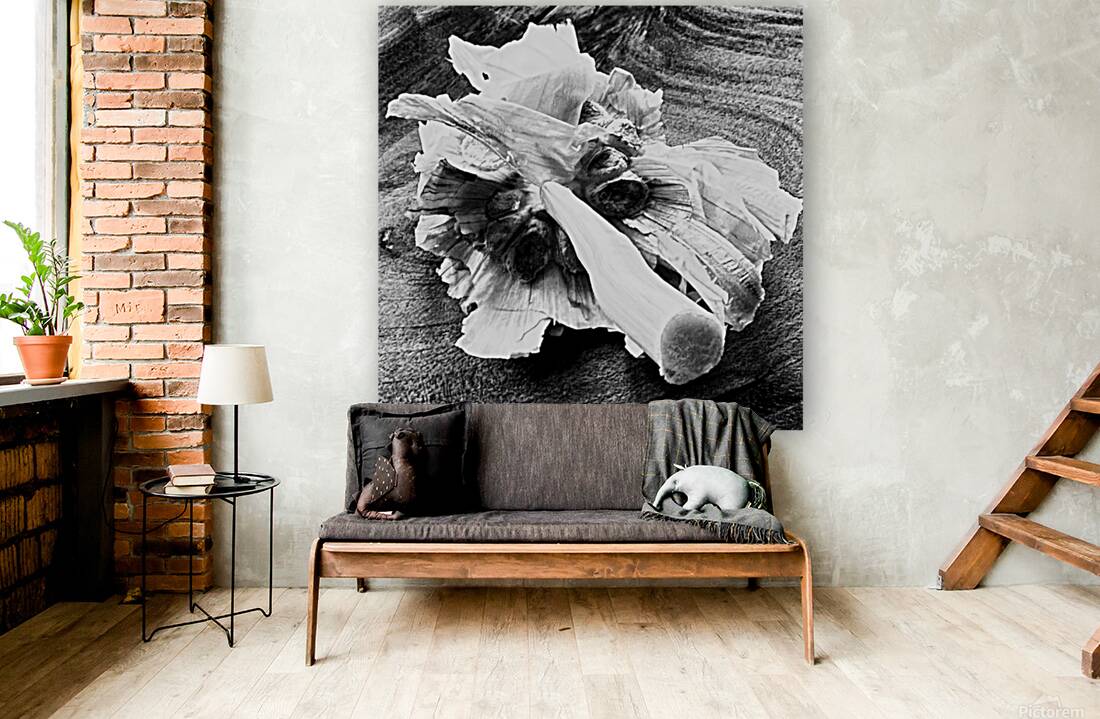 Found Grace Reproduction