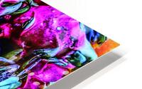 Dragon Fruit HD Metal print