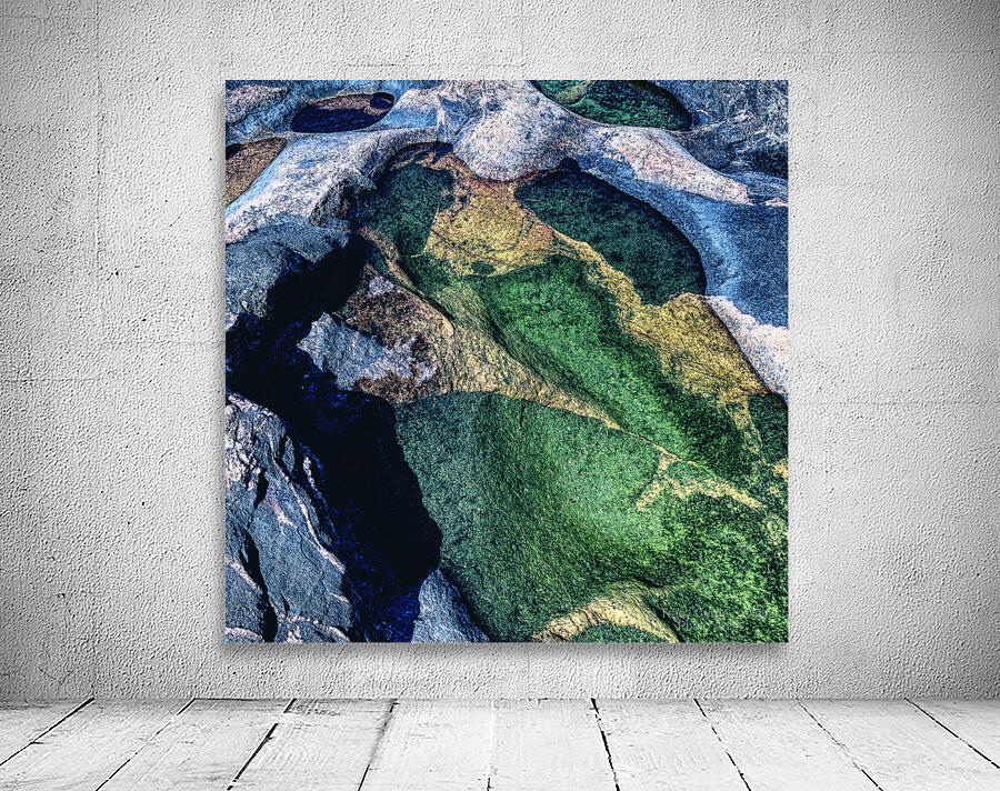 Jurassic Bird Wall Preview