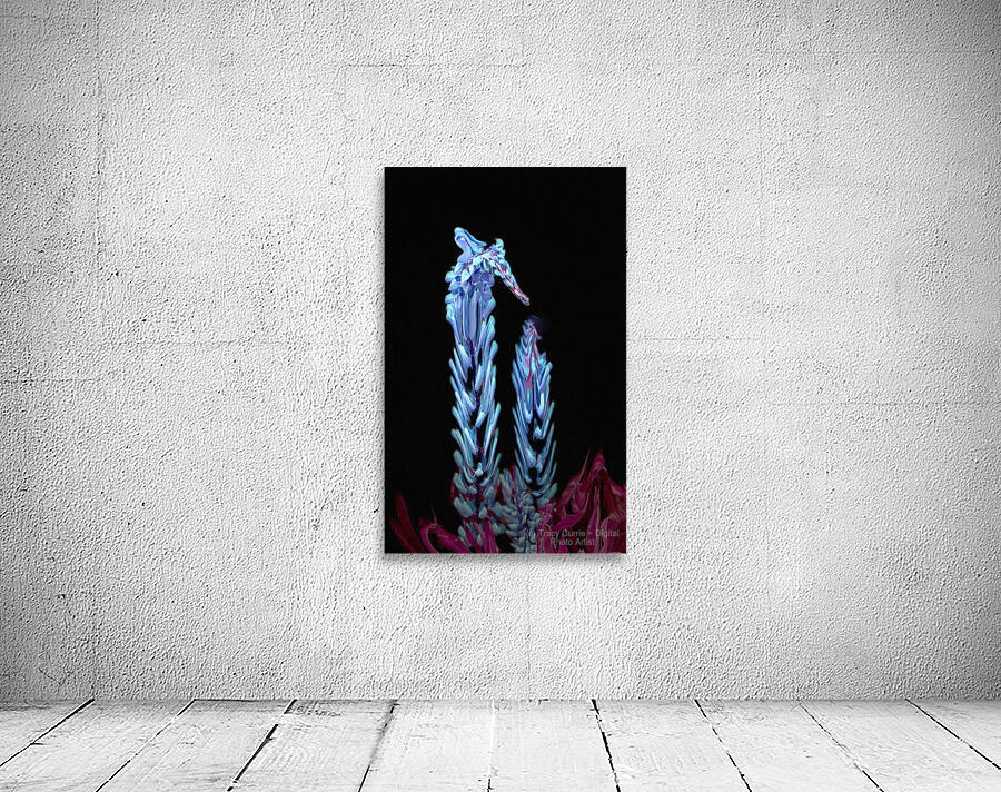 Mystical Sea Horse Wall Preview