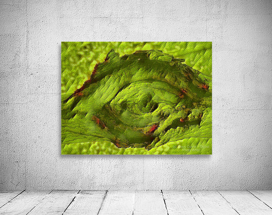 Dragon Eye Wall Preview