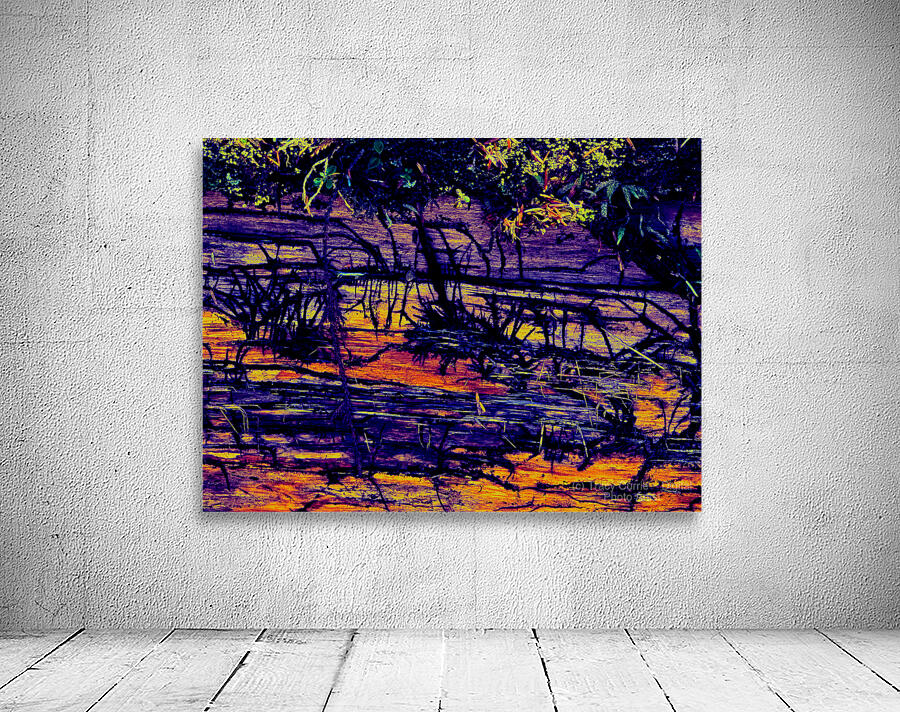 Beetle Bark Gallery Wall Preview