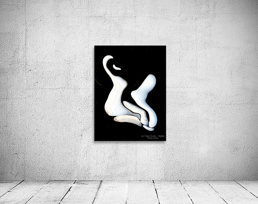 The Dancers Wall Preview