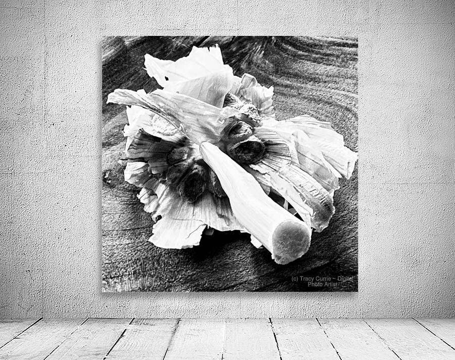 Found Grace Wall Preview