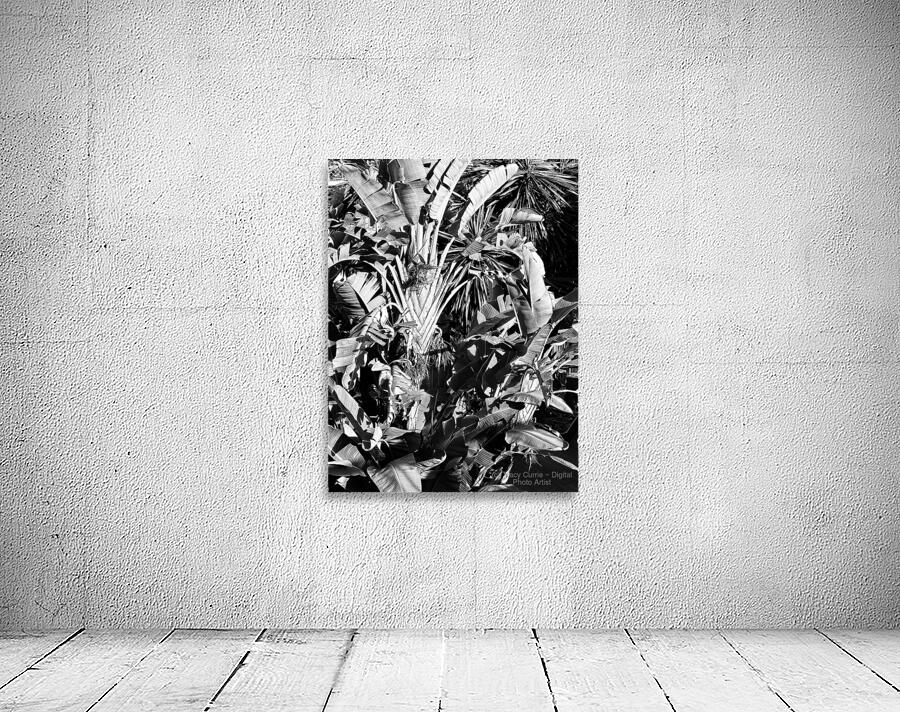 Tropical Shadows Wall Preview