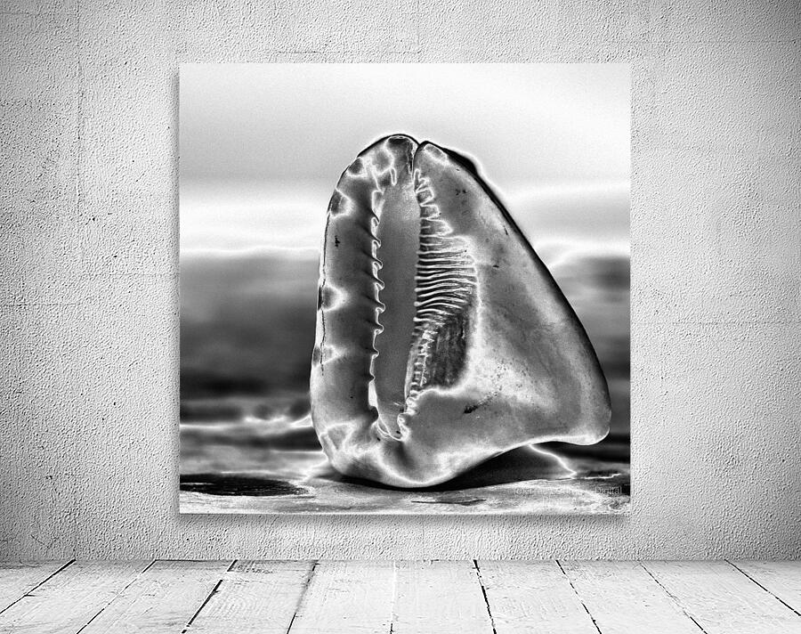 Hidden Architecture Wall Preview