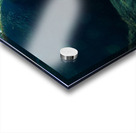 Bear On Deck Acrylic print