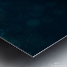 Bear On Deck Metal print