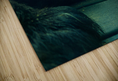 Bear On Deck EYE AM STUDIOS puzzle