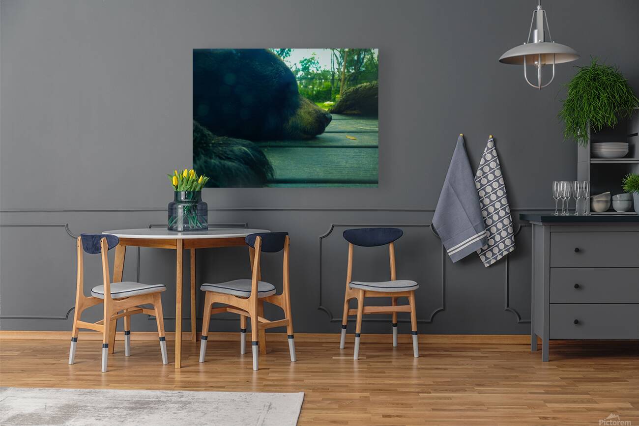 Bear On Deck Reproduction