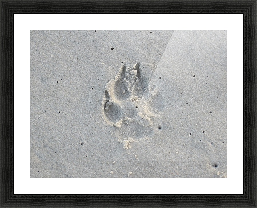 Dog Print Picture Frame print